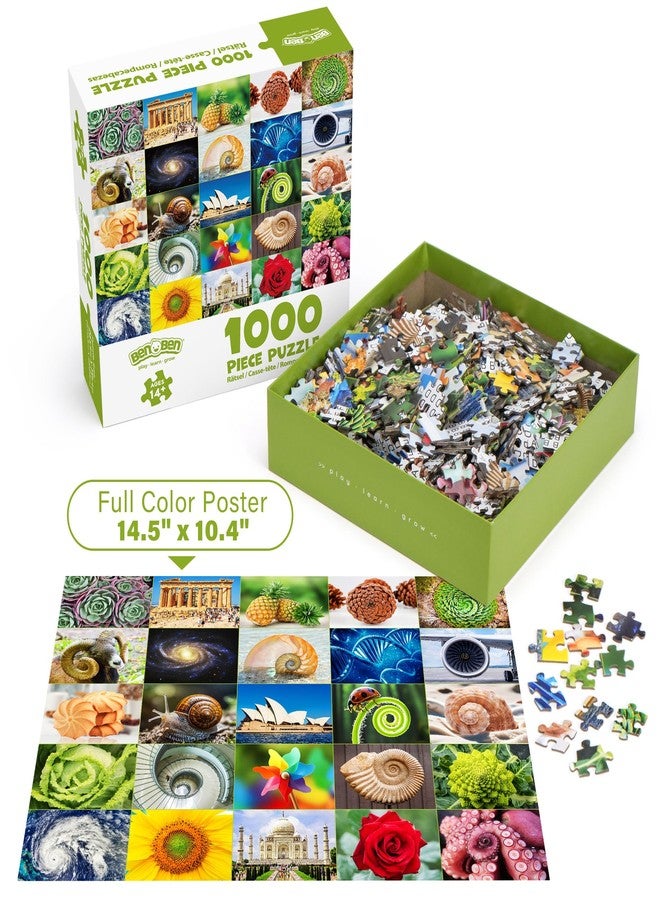 BenBen 1000 Piece Puzzle for Adults, 25 Fibonacci Spirals in Nature, Jigsaw Puzzles with Letters on Back, Challenging Puzzle for Game Night Home Décor - Image 5